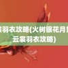 云裳羽衣攻略(火树银花月如水云裳羽衣攻略)