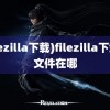 (filezilla下载)filezilla下载的文件在哪