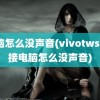 电脑怎么没声音(vivotws2连接电脑怎么没声音)