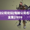 电脑公司论坛(电脑公司名字大全集)7839