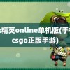 反恐精英online单机版(手机版csgo正版手游)