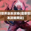 魔兽世界副本攻略(魔兽世界副本攻略网站)