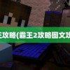 霸王攻略(霸王2攻略图文攻略)