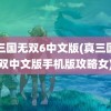 真三国无双6中文版(真三国无双中文版手机版攻略女)