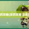 采药攻略(采药攻略 正式服)