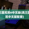 真三国无双6中文版(真三国无双中文版配音)