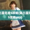 真三国无双5攻略(真三国无双5攻略psp)