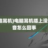 (电脑耳机)电脑耳机插上没有声音怎么回事