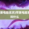 (苹果电脑系统)苹果电脑系统叫什么