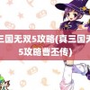 真三国无双5攻略(真三国无双5攻略曹丕传)