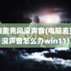 电脑麦克风没声音(电脑麦克风没声音怎么办win11)