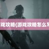 游戏攻略(游戏攻略怎么写)