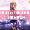 湘税社保app下载(湘税社保app下载安装官网)