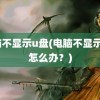 电脑不显示u盘(电脑不显示u盘怎么办？)