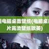 欧美电脑桌面壁纸(电脑桌面图片高清壁纸欧美)