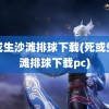 死或生沙滩排球下载(死或生沙滩排球下载pc)